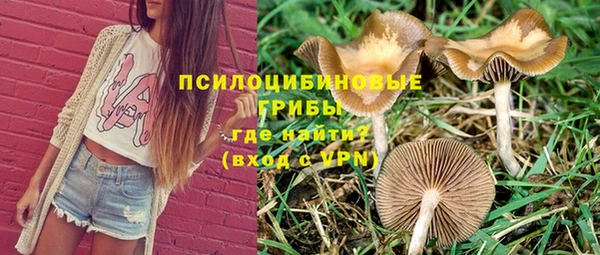 альфа пвп Горно-Алтайск