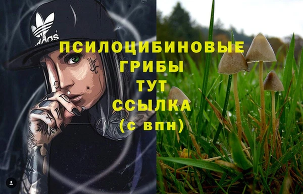 наркотики Горнозаводск