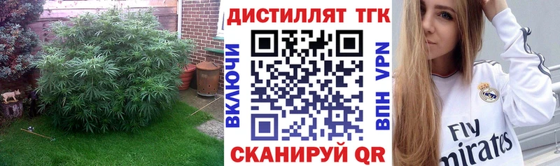 Купить  Лермонтов  ТГК THC oil 